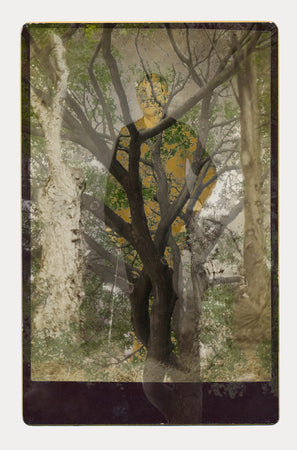 Spotlight On: Sara Angelucci