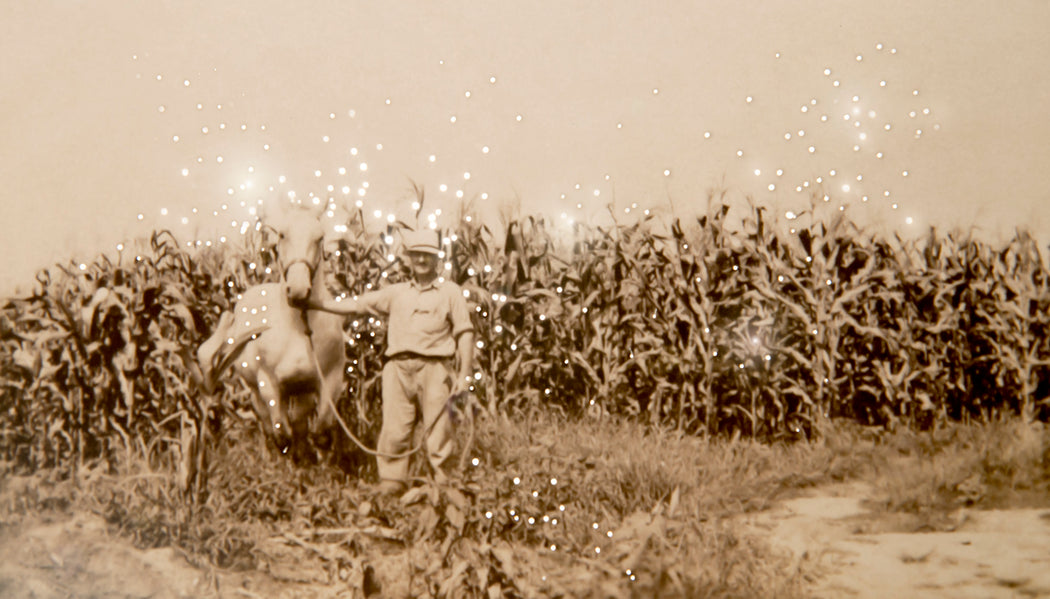 It was a good one, the horse I mean