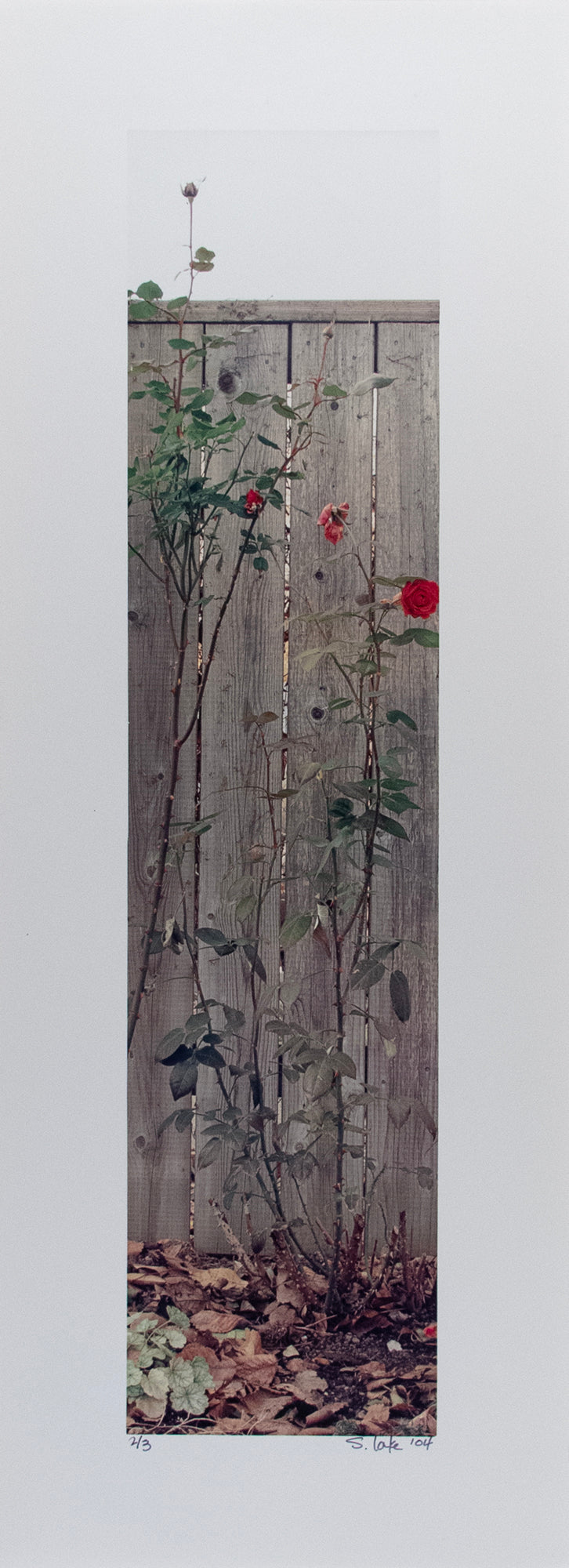 maquette: Beauty at the End of the Season #7