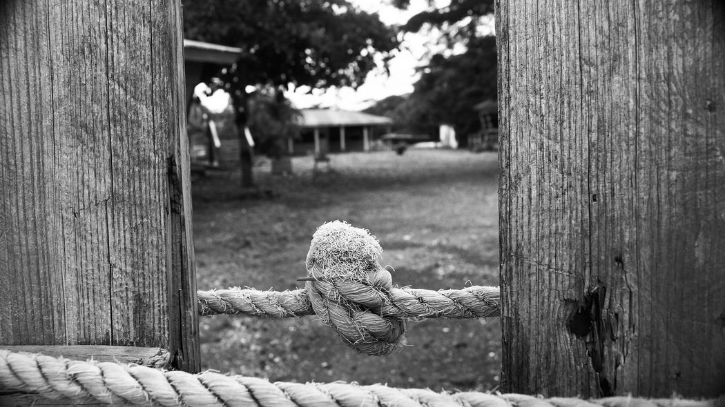 Knot
