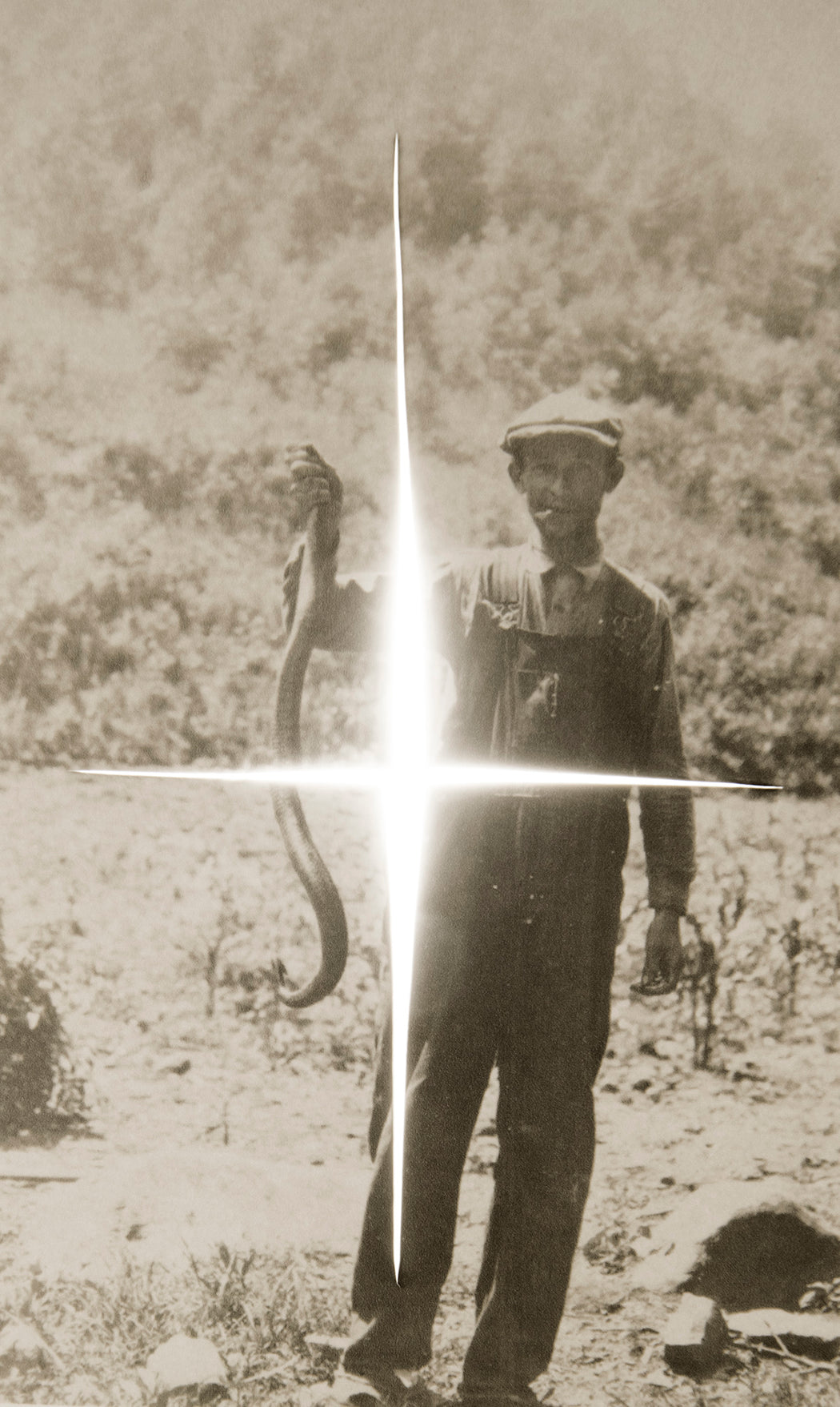 Snake Oil