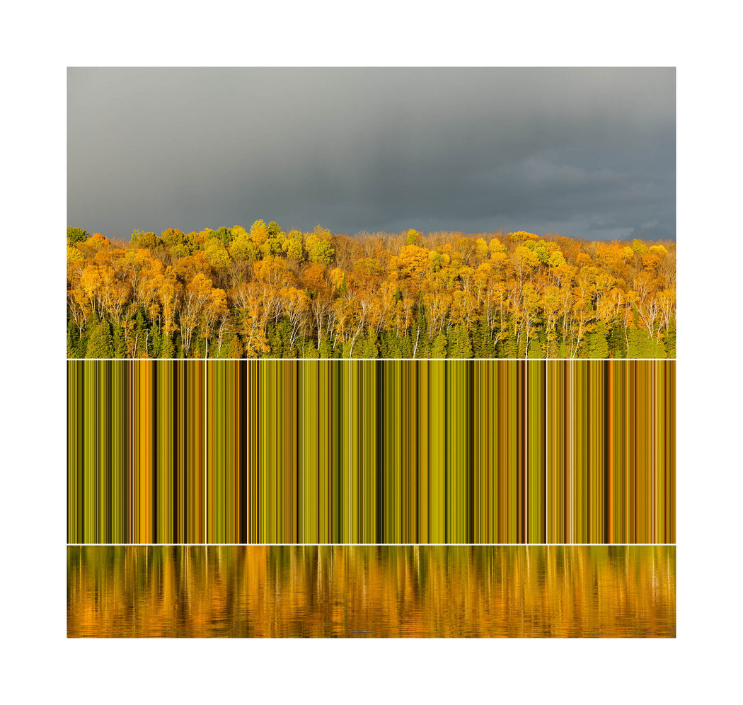 Chrominance 1