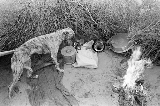 FFOTO-Gauri Gill-Jogi home out in the country, Bikaner