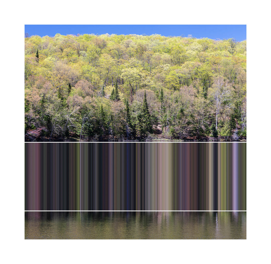 Chrominance 7