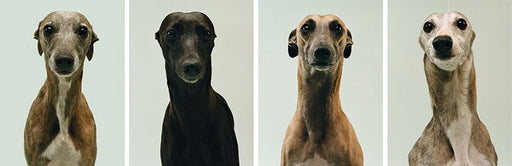 FFOTO-Jo Longhurst-I Know What You’re Thinking (from “The Refusal”)