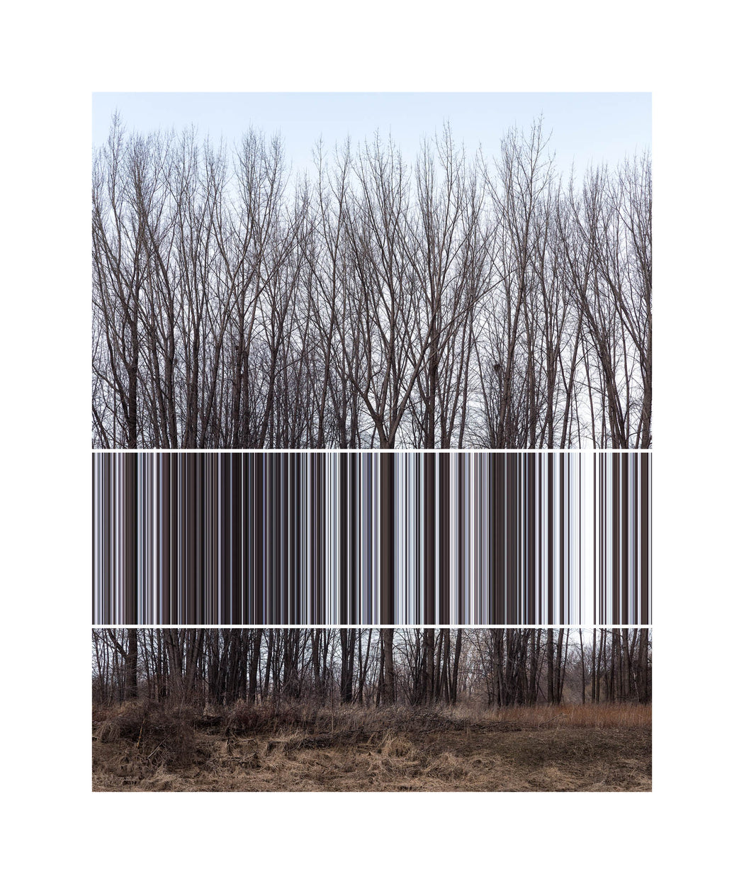 Luminance 4