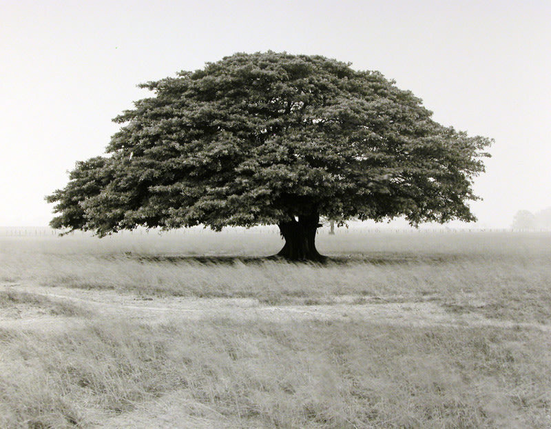 FFOTO-Robert Bourdeau-Costa Rica