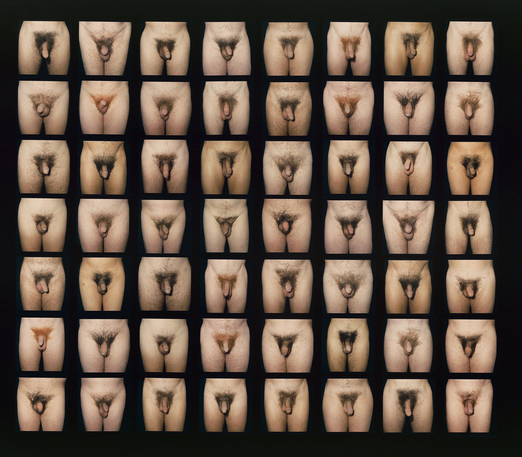 Untitled (Genitalia), Toronto, Ontario