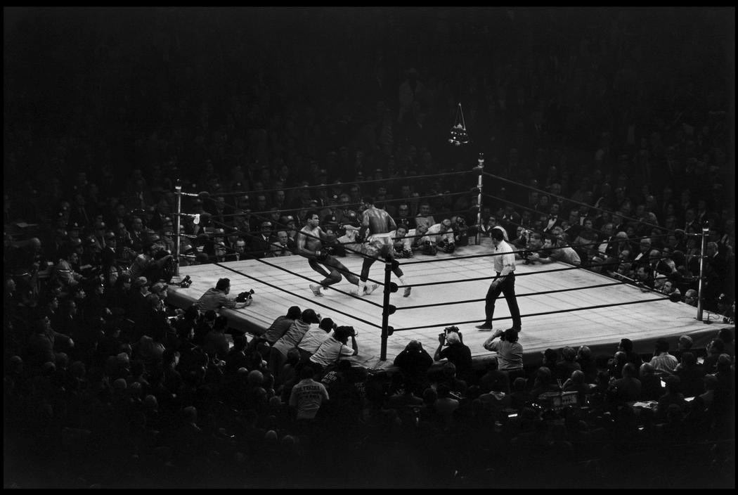 New York City (Muhammad Ali vs Joe Frazier) - Elliott Erwitt | FFOTO