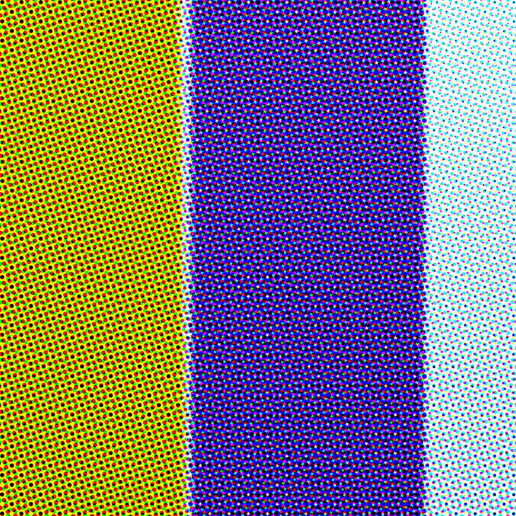 FFOTO-Sanaz Mazinani-5LPI/ CMYK