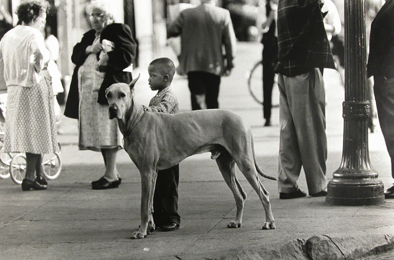 FFOTO-George S. Zimbel-Black Boy and Great Dane, Harlem (RETURNED TO CONSIGNOR)