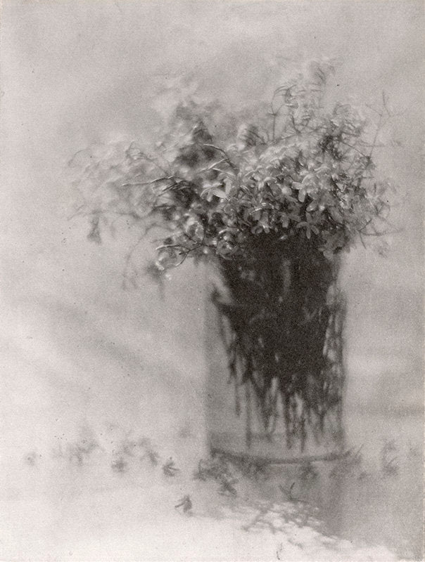 Still Life - Baron Adolph De Meyer | FFOTO