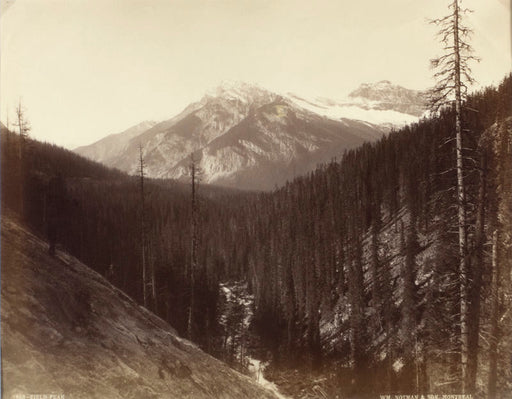 FFOTO-William Notman Studios-CNR, Western Canada, #1653, Field Peak