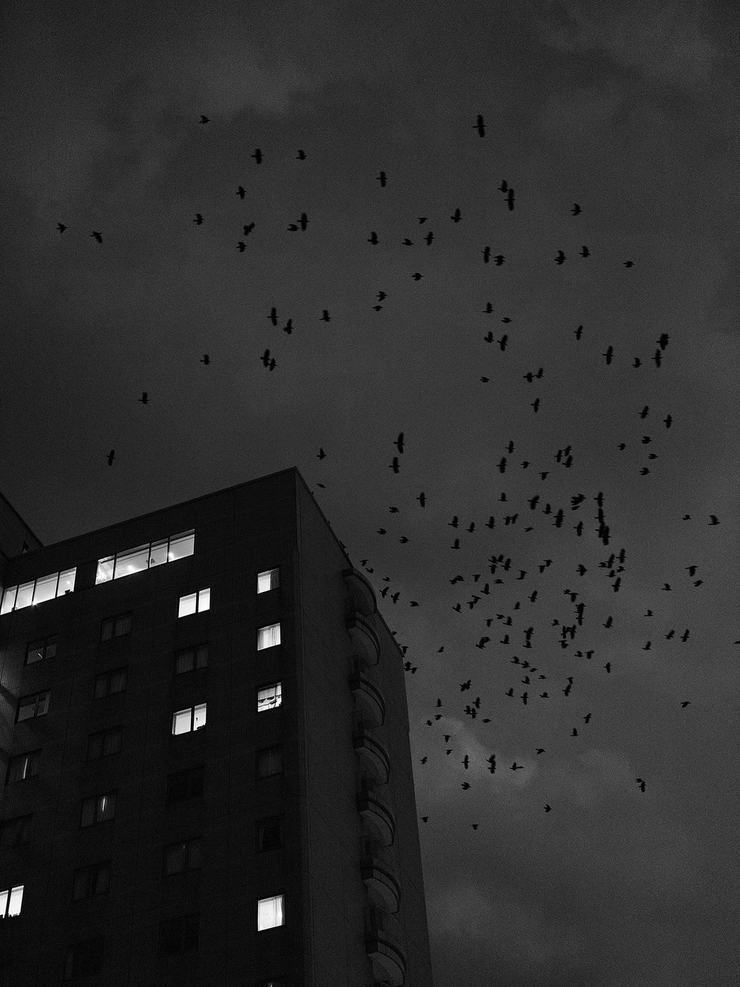 Untitled (Kanazawa 01), Ishikawa prefecture, Japan