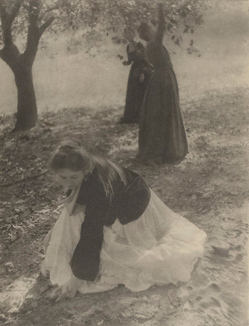 The Orchard - Clarence White | FFOTO