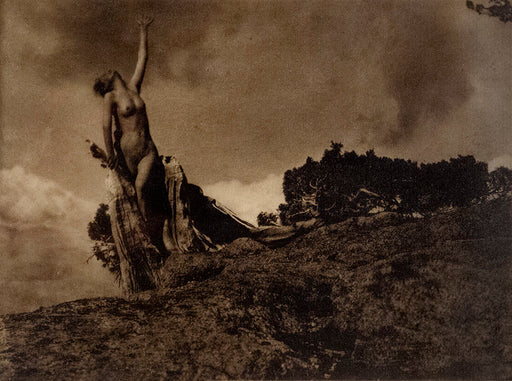 Soul of the Blasted Pine - Anne Brigman | FFOTO