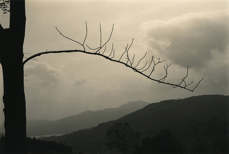 FFOTO-Yamamoto Masao-# 1521