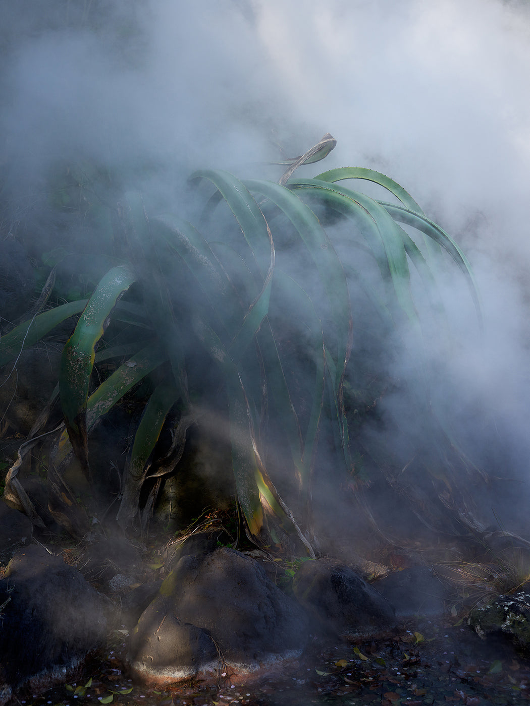 Hell, Beppu, Ōita prefecture, Japan