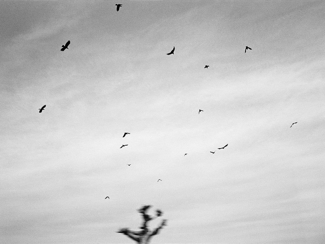 Untitled (flight 01), Takeo city, Saga prefecture, Japan