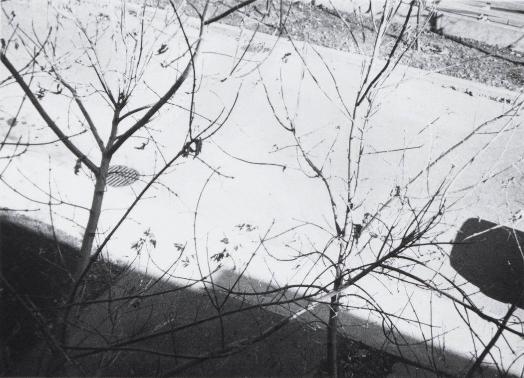 MN:XXXV-27-77 - Charles Gagnon | FFOTO