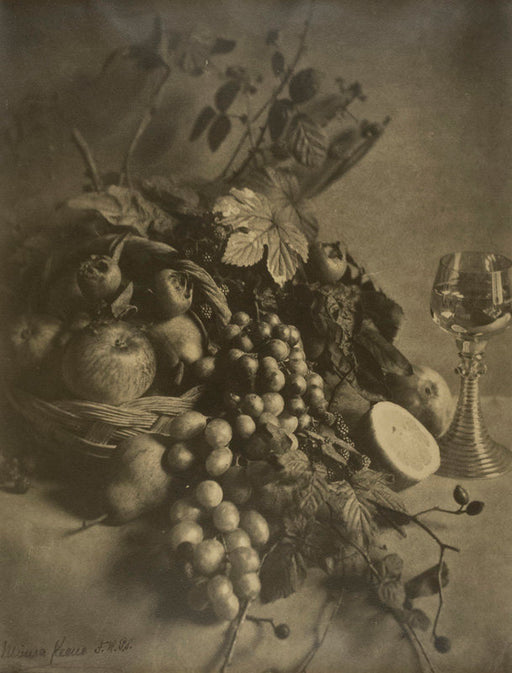 FFOTO-Minna Keene-Fruit Study