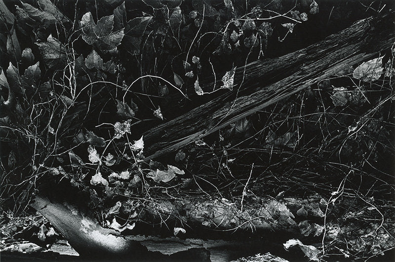 Culpepper, Virginia - Dave Heath | FFOTO