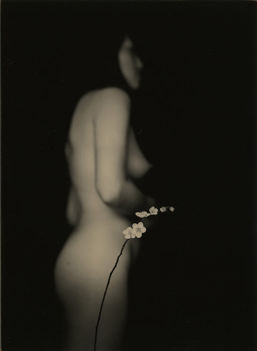 FFOTO-Yamamoto Masao-# 1244
