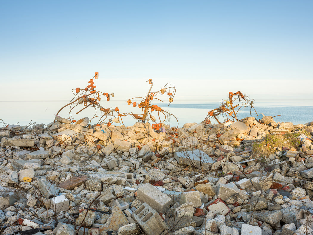 Constructions of Brick and Rebar, Tommy Thompson Park