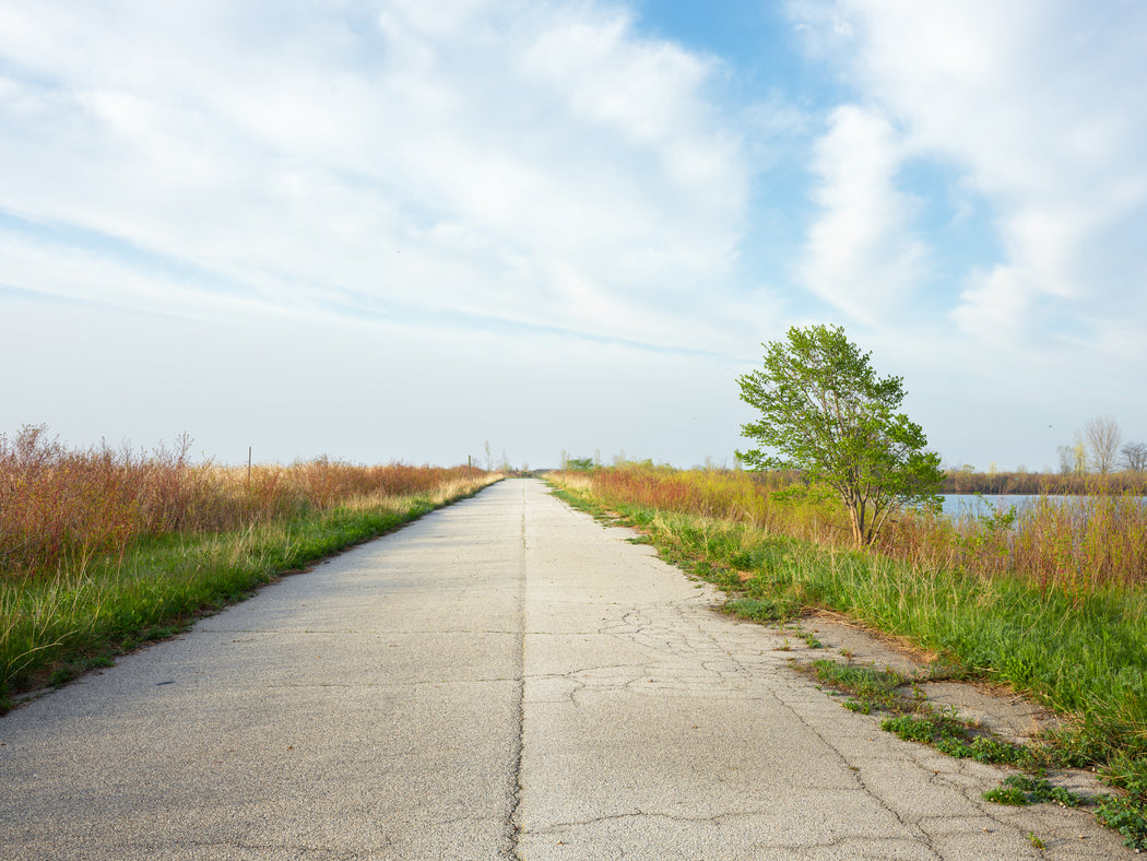 The Unassumed Road on the Endikement, Tommy Thompson Park