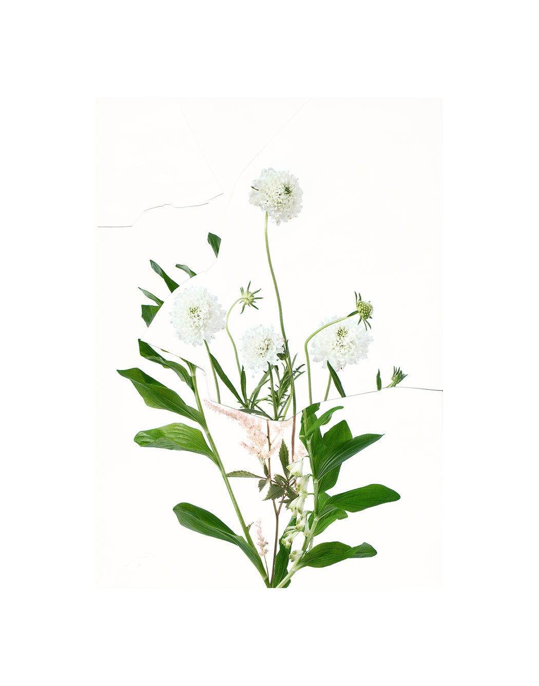 Untitled (Readymade Bouquet) 03