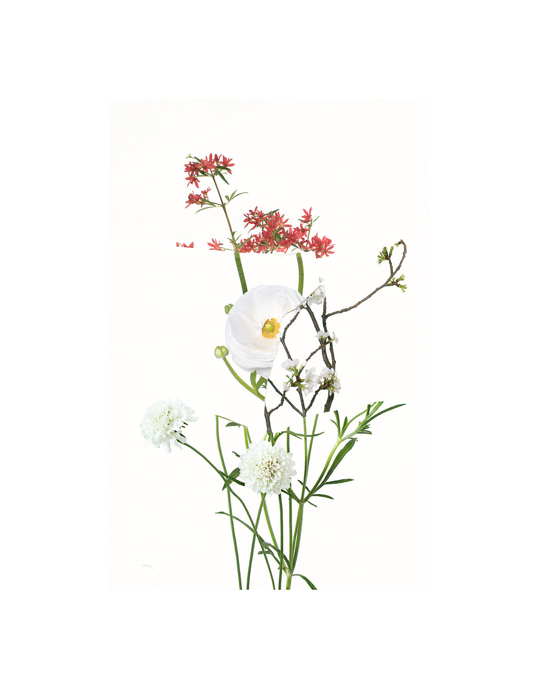 Untitled (Readymade Bouquet) 04