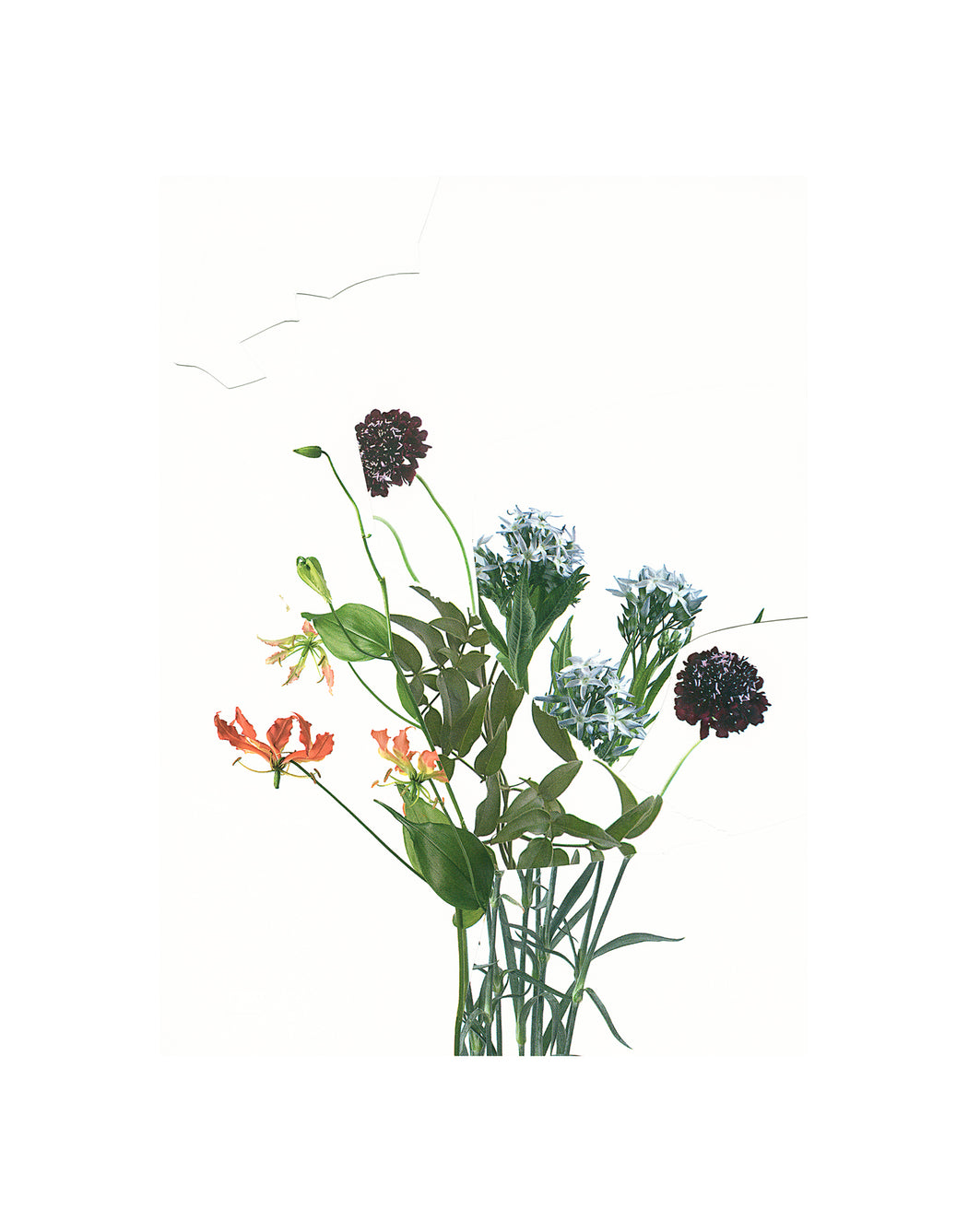 Untitled (Readymade Bouquet) 05