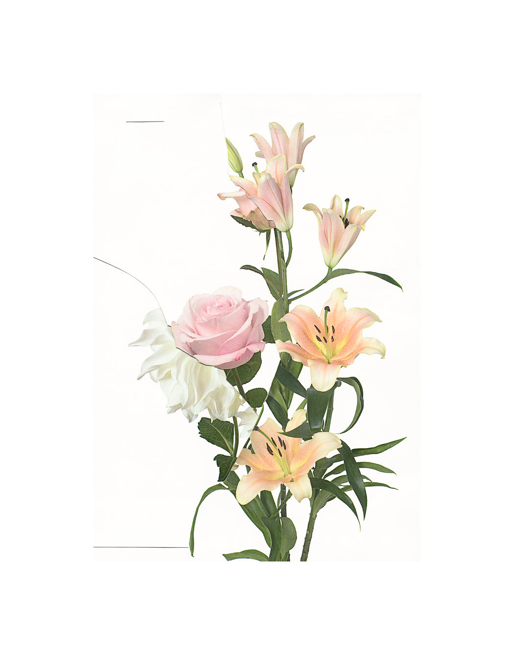 Untitled (Readymade Bouquet) 06