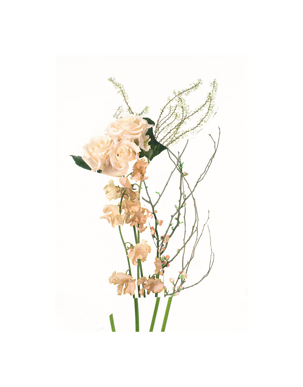 Untitled (Readymade Bouquet) 07