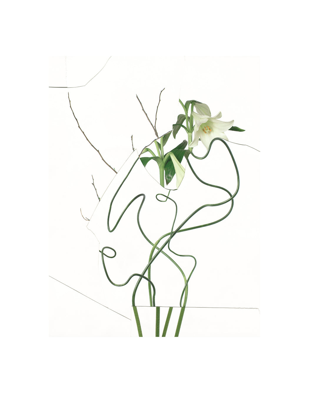 Untitled (Readymade Bouquet) 08
