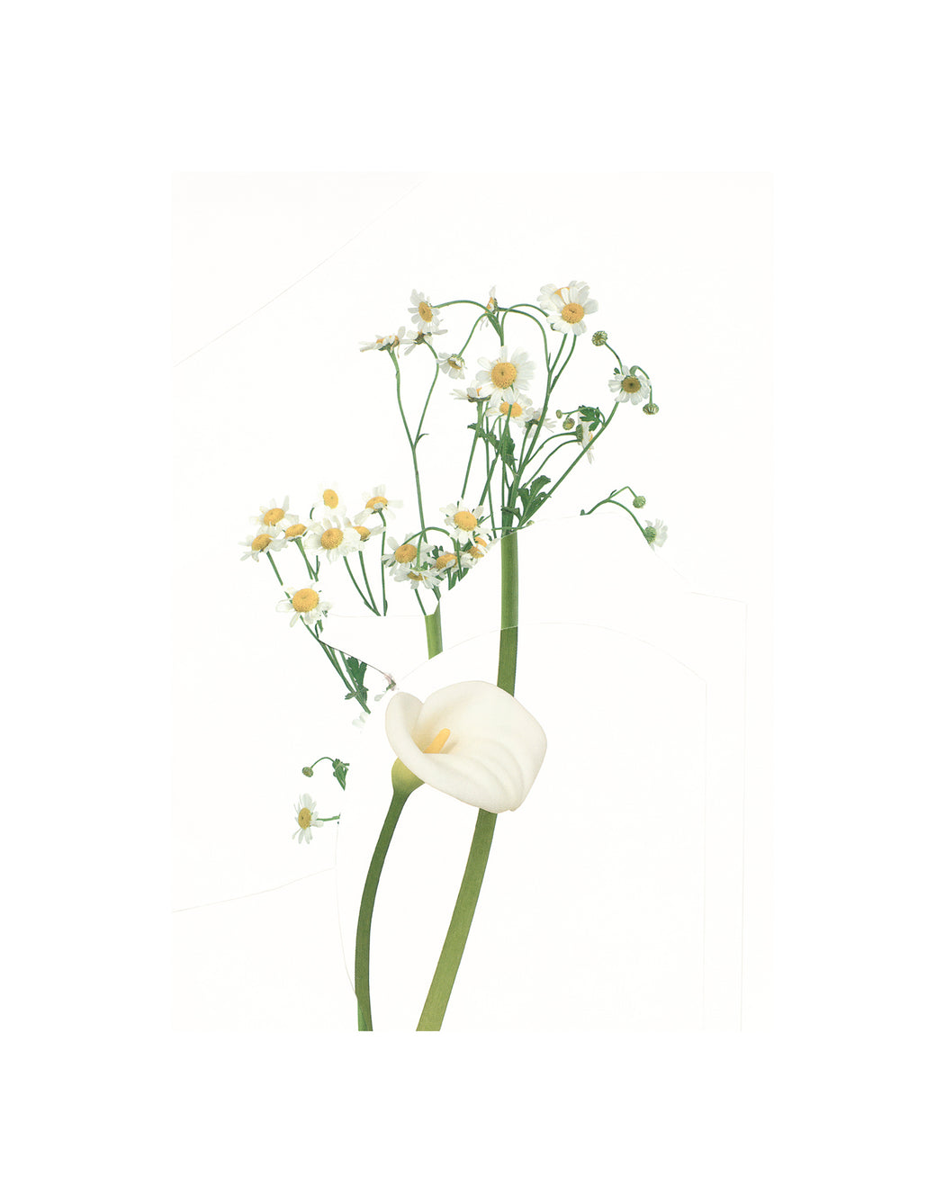 Untitled (Readymade Bouquet) 10