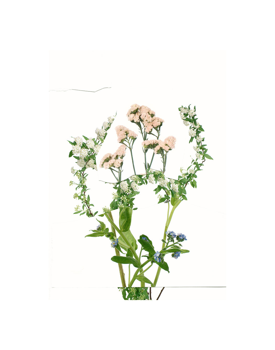 Untitled (Readymade Bouquet) 11