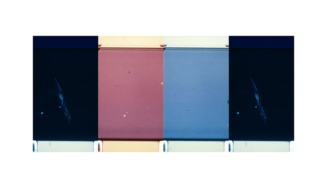 Film Generation