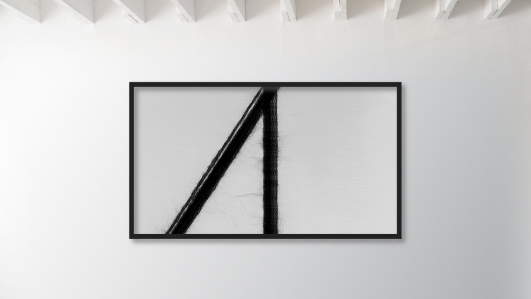 LOOM (alpaca)