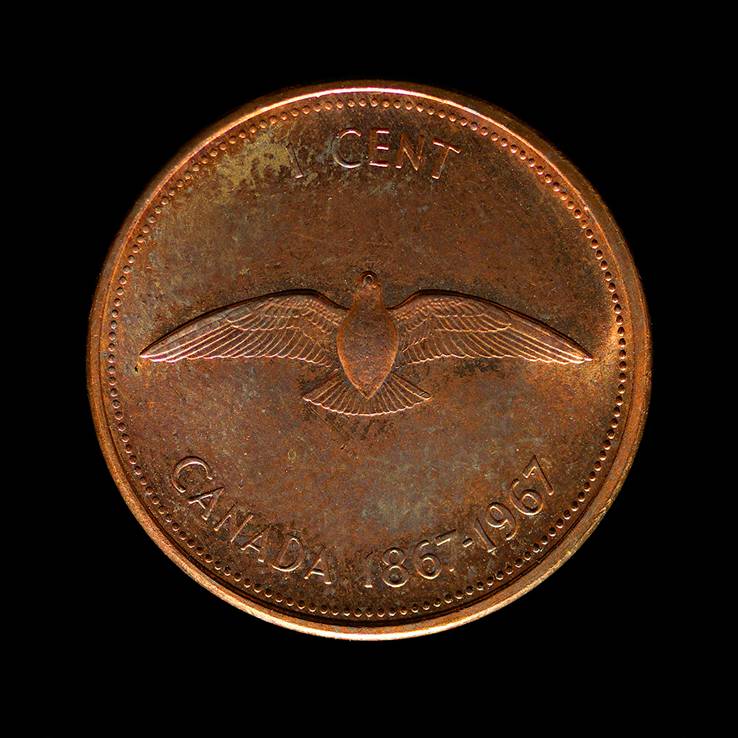 Colville Dove 6310 (penny)