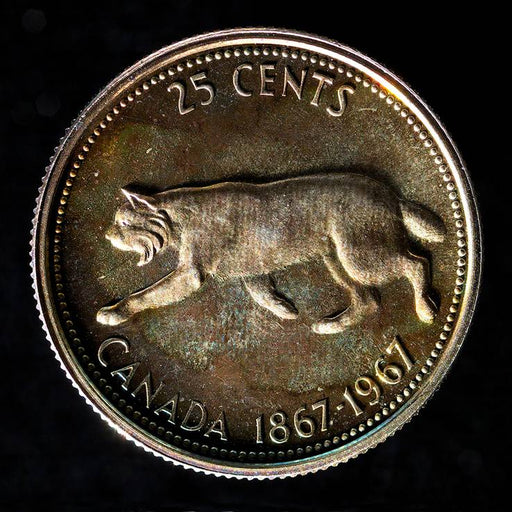 Colville Lynx 5971 (Quarter)