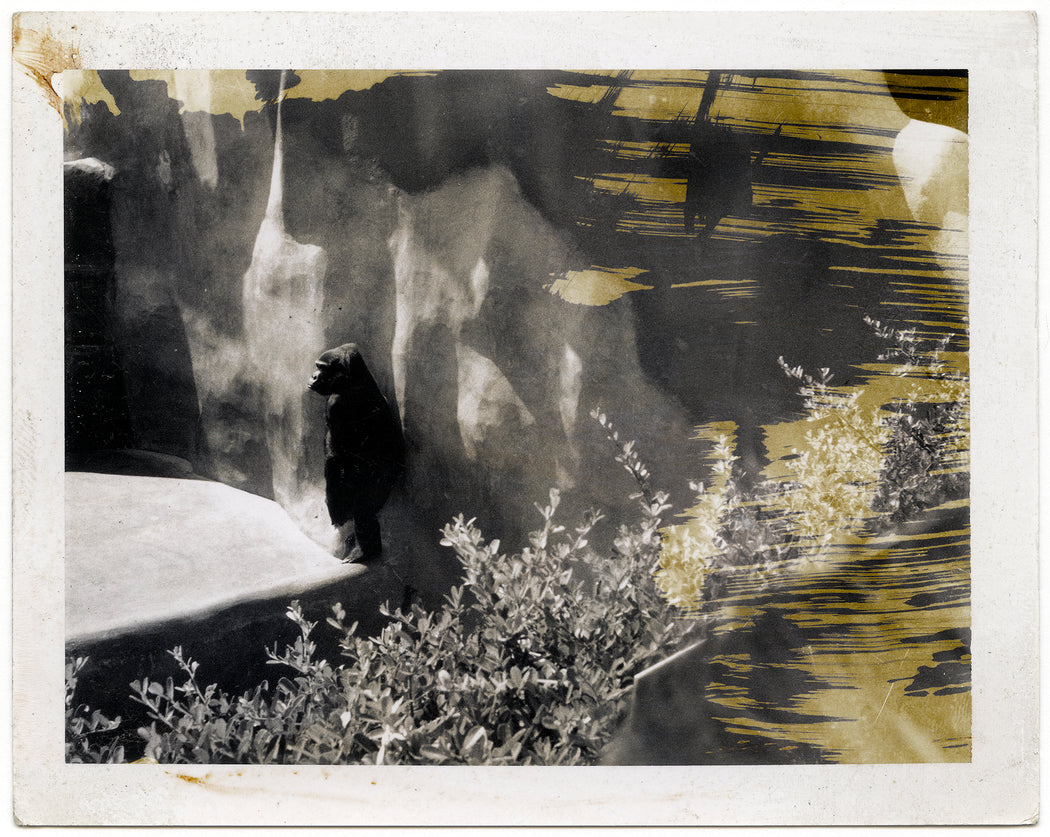 Fading Dream 200