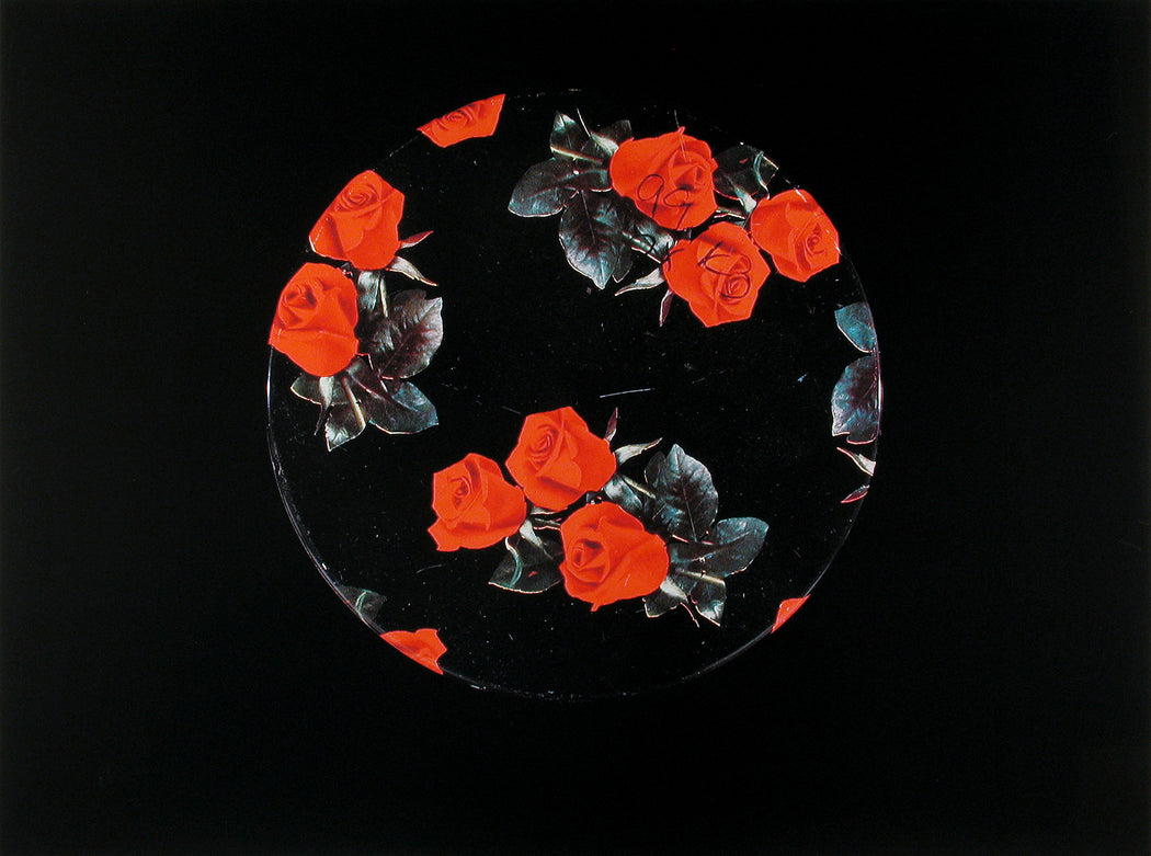Night Garden 54