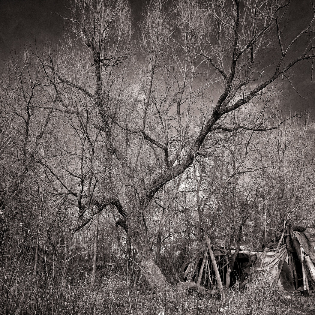 Shelter B180479