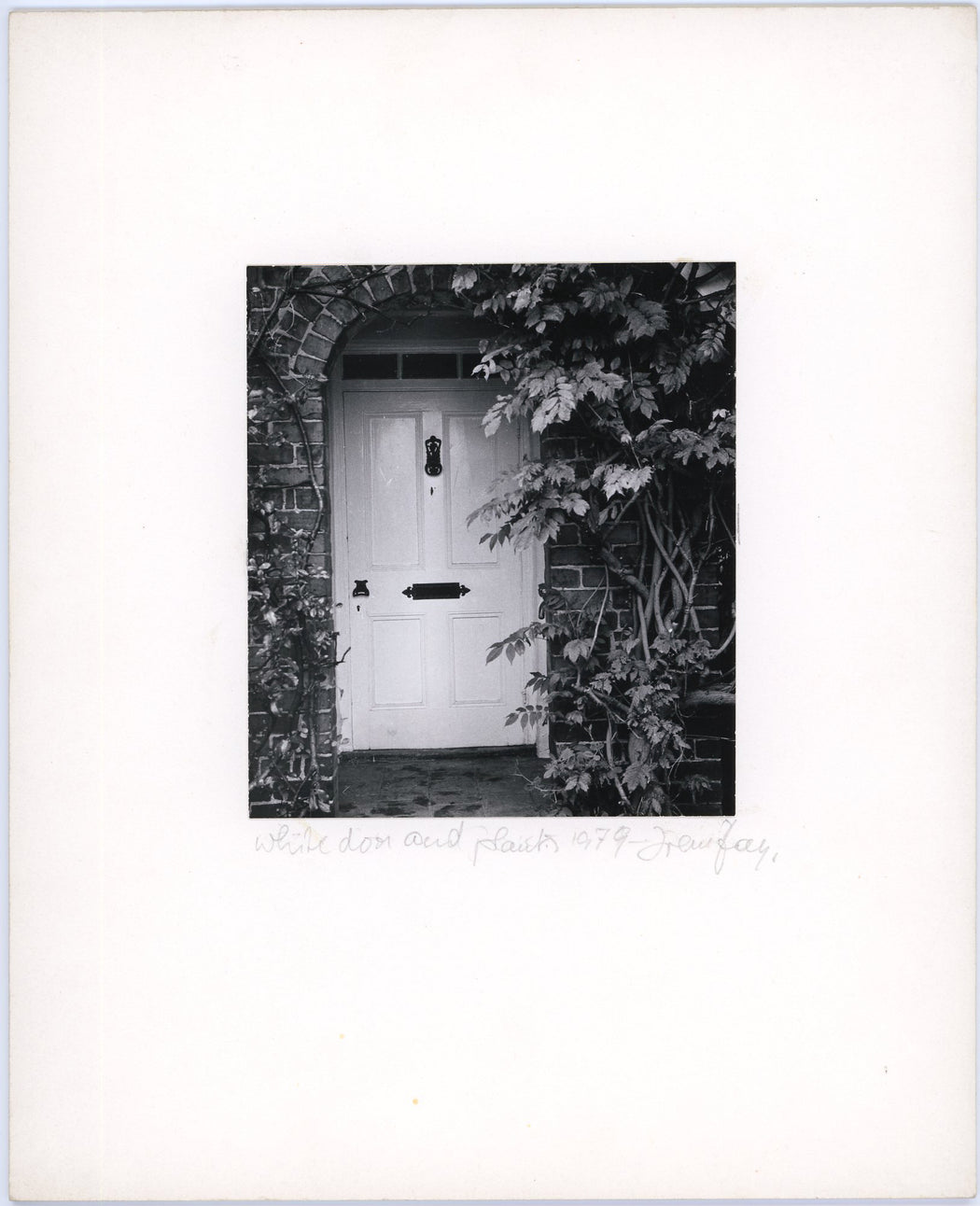 White Door and Plants