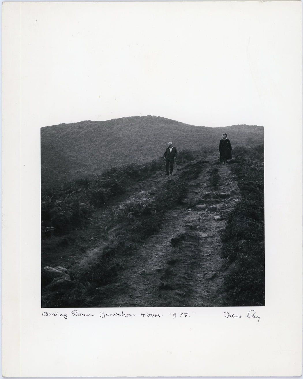 Coming Home Yorkshire Moors