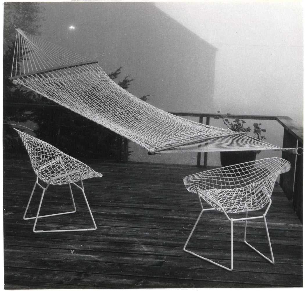 Fog Around the Terrace