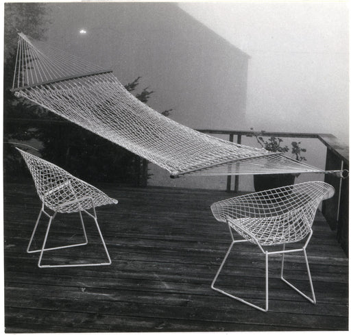 Fog Around the Terrace
