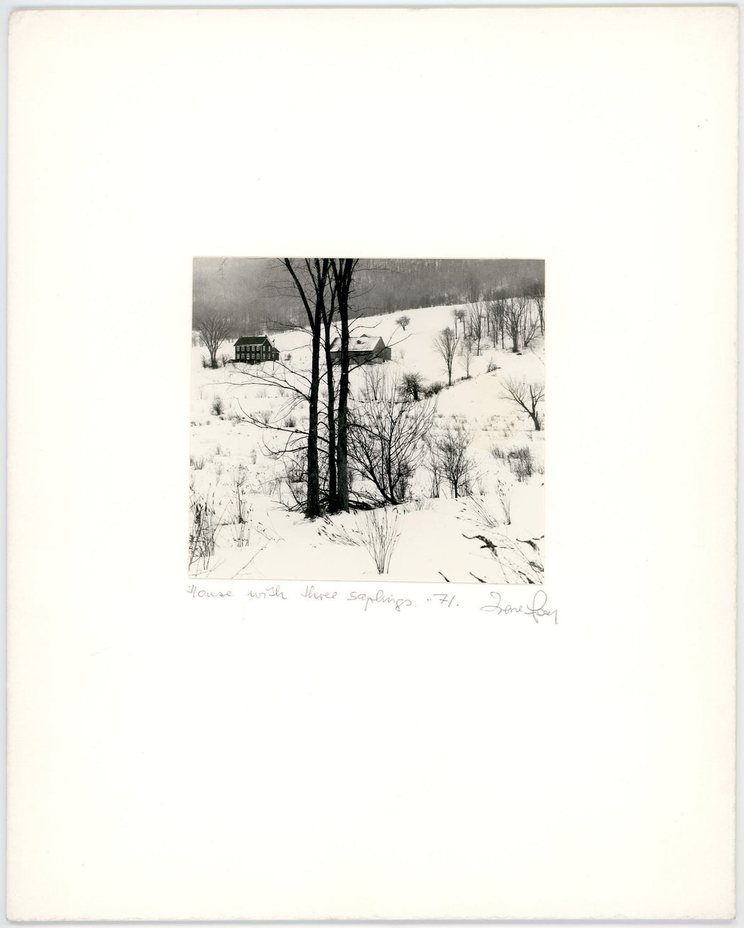 House With Three Saplings