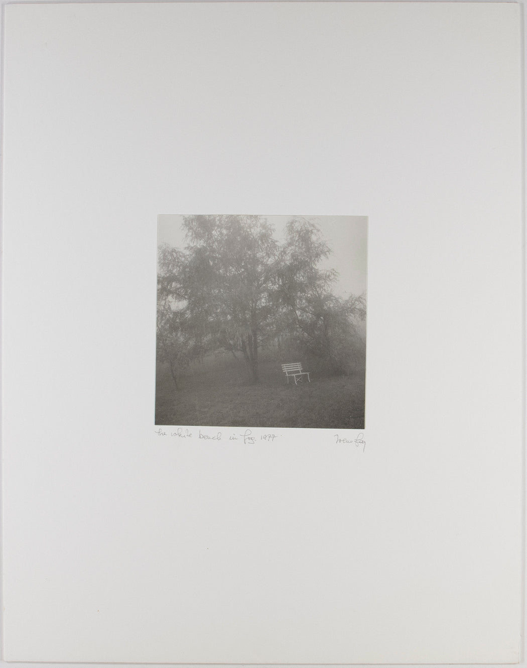 The White Bench in Fog
